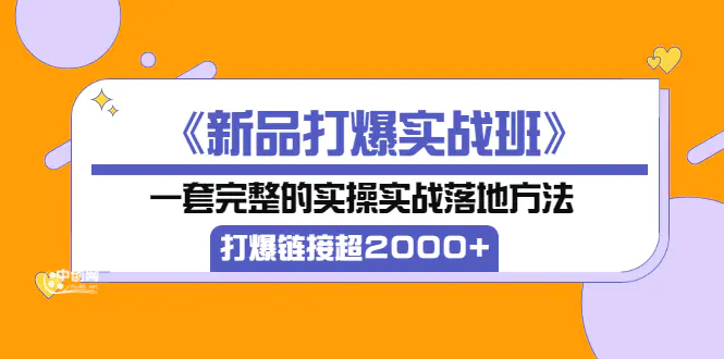 《新品打爆实战班》一套完整的实操实战落地方法，打爆链接超2000+（38节课)-爱赚项目网