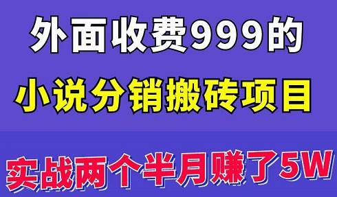 小说搬砖项目外面收费999：两个月实战赚了5万！-爱赚项目网