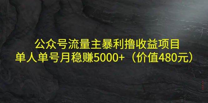 公众号流量主暴利撸收益项目，单人单号月稳赚5000+（价值480元）-爱赚项目网