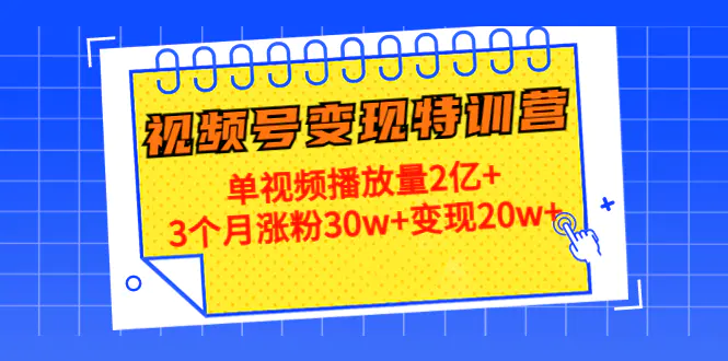 20天视频号变现特训营：单视频播放量2亿+3个月涨粉30w+变现20w+-爱赚项目网