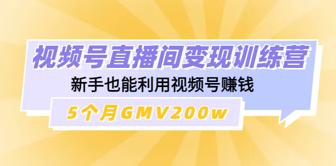 视频号直播间变现训练营：新手也能利用视频号赚钱，5个月GMV200w-爱赚项目网