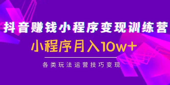 抖音赚钱小程序变现训练营：小程序月入10w+各类玩法运营技巧变现-爱赚项目网