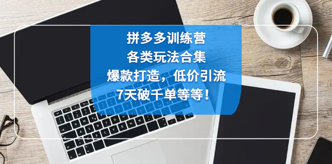 拼多多训练营：各玩法合集，爆款打造，低价引流，7天破千单等等！-爱赚项目网