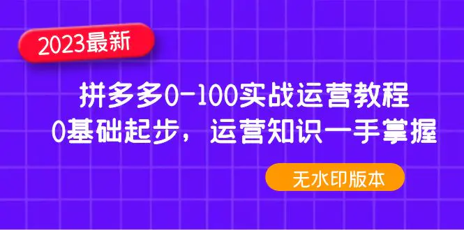 2023拼多多0-100实战运营教程，0基础起步，运营知识一手掌握-爱赚项目网