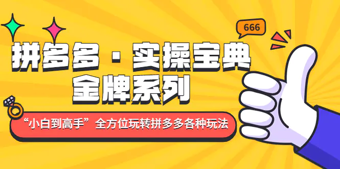 拼多多·实操宝典：金牌系列“小白到高手”带你全方位玩转拼多多各种玩法-爱赚项目网