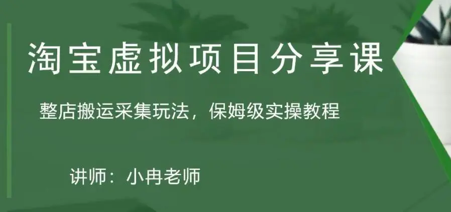 淘宝虚拟整店搬运采集玩法分享课：整店搬运采集玩法，保姆级实操教程-爱赚项目网