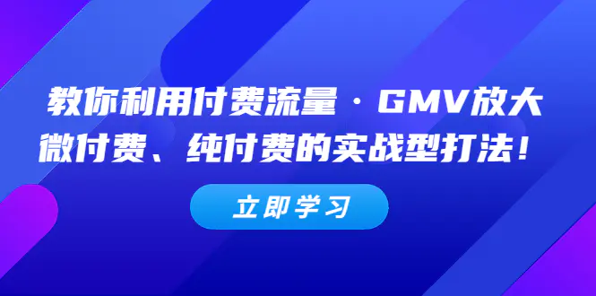 教你利用付费流量·GMV放大，微付费、纯付费的实战型打法！-爱赚项目网