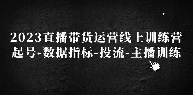 2023直播带货运营线上训练营，起号-数据指标-投流-主播训练-爱赚项目网