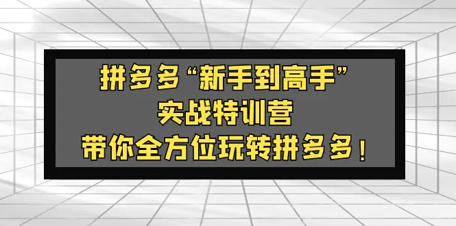 拼多多“新手到高手”实战特训营：带你全方位玩转拼多多！-爱赚项目网