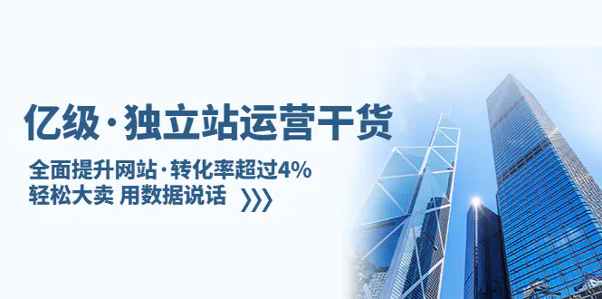 亿级·独立站运营干货：全面提升网站·转化率超过4%，轻松大卖 用数据说话-爱赚项目网