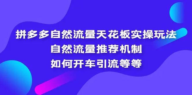 拼多多自然流量天花板实操玩法：自然流量推荐机制，如何开车引流等等-爱赚项目网