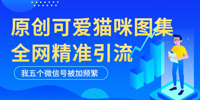 黑科技纯原创可爱猫咪图片，全网精准引流，实操5个VX号被加频繁-爱赚项目网