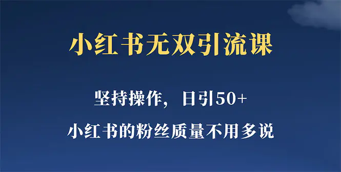 小红书无双课一天引50+女粉，不用做视频发视频，小白也很容易上手拿到结果-爱赚项目网