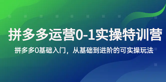 拼多多-运营0-1实操训练营，拼多多0基础入门，从基础到进阶的可实操玩法-爱赚项目网