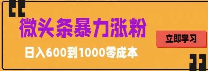 微头条暴力涨粉技巧搬运文案就能涨几万粉丝，简单0成本，日赚600-爱赚项目网