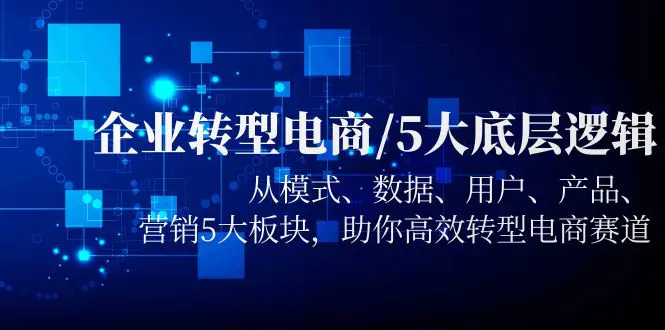 企业转型电商/5大底层逻辑，从模式 数据 用户 产品 营销5大板块，高效转型-爱赚项目网