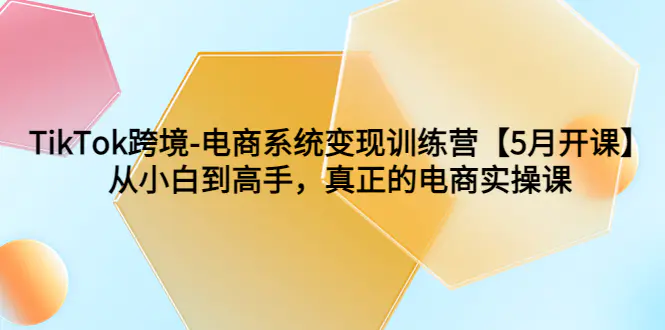 TikTok跨境-电商系统变现训练营【5月新课】从小白到高手，真正的电商实操课-爱赚项目网