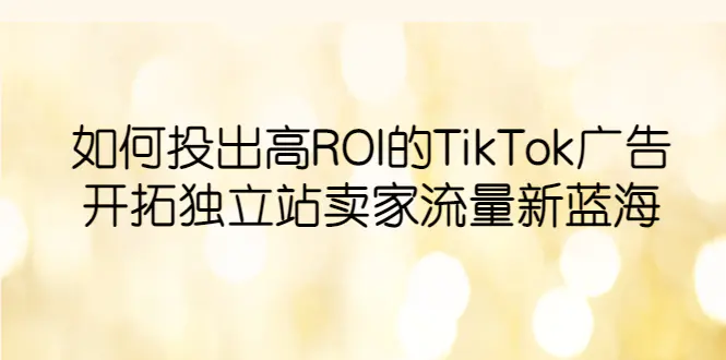 如何投出高ROI·TikTok广告，开拓独立站卖家流量新蓝海-爱赚项目网