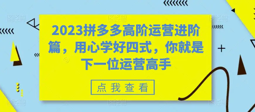 2023拼多多高阶运营进阶篇，用心学好四式，你就是下一位运营高手-爱赚项目网