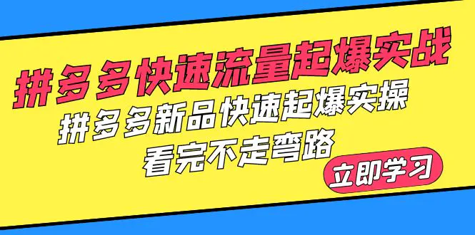 拼多多-快速流量起爆实战，拼多多新品快速起爆实操，看完不走弯路-爱赚项目网