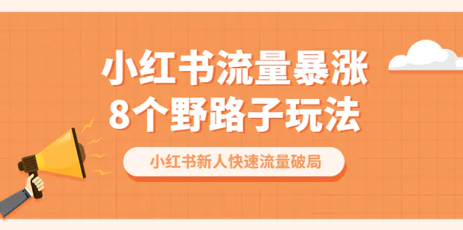 小红书流量-暴涨8个野路子玩法：小红书新人快速流量破局（8节课）-爱赚项目网