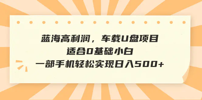 蓝海高利润，车载U盘项目，适合0基础小白，一部手机轻松实现日入500+-爱赚项目网