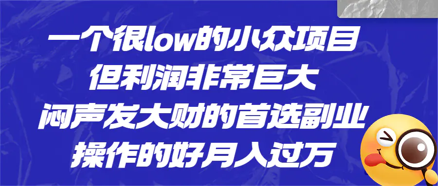 一个很low的小众项目，但利润非常巨大，闷声发大财的首选副业，月入过万-爱赚项目网