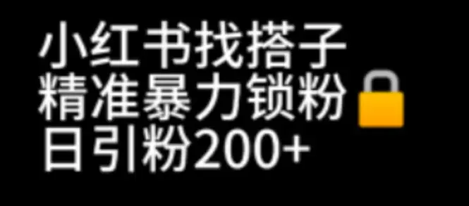 小红书找搭子暴力精准锁粉+引流日引200+精准粉-爱赚项目网