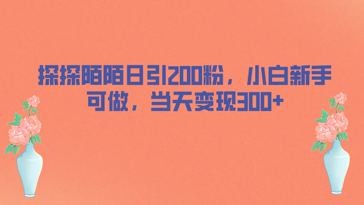 探探陌陌日引200粉，小白新手可做，当天就能变现300+-爱赚项目网