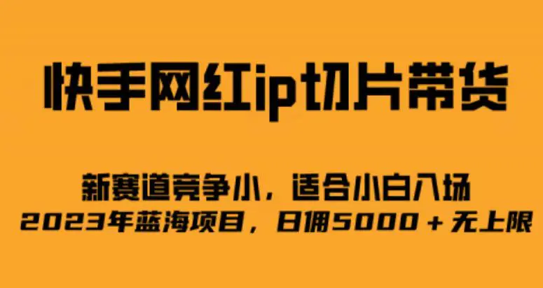 快手网红ip切片新赛道，竞争小事，适合小白  2023蓝海项目-爱赚项目网