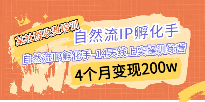 某社群收费培训：自然流IP 孵化手-14天线上实操训练营 4个月变现200w-爱赚项目网