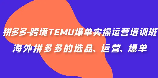 拼多多-跨境TEMU爆单实操运营培训班，海外拼多多的选品、运营、爆单-爱赚项目网