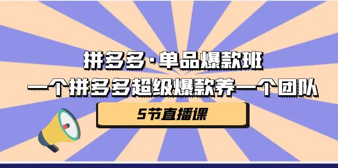 拼多多·单品爆款班，一个拼多多超级爆款养一个团队（5节直播课）-爱赚项目网