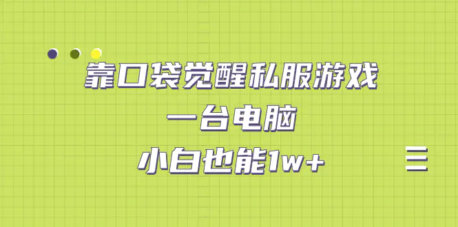 靠口袋觉醒私服游戏，一台电脑，小白也能1w+（教程+工具+资料）-爱赚项目网