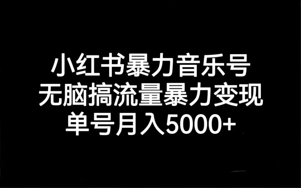 小红书暴力音乐号，无脑搞流量暴力变现，单号月入5000+-爱赚项目网