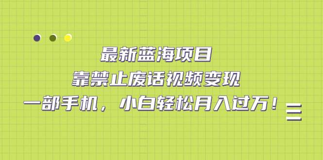 最新蓝海项目，靠禁止废话视频变现，一部手机，小白轻松月入过万！-爱赚项目网