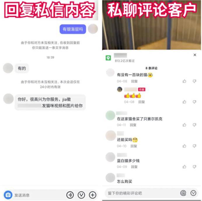 图片[3]-[创业资讯] 抖音快手卖猫狗，0门槛，月销30万！-爱赚项目网