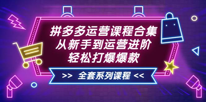 拼多多运营课程合集：从新手到运营进阶，轻松打爆爆款（全套系统课程）-爱赚项目网