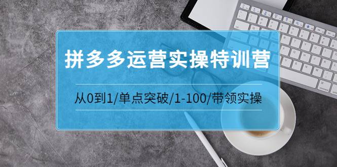 青云:拼多多运营实操特训营：从0到1/单点突破/1-100/带领实操 价值2980元-爱赚项目网