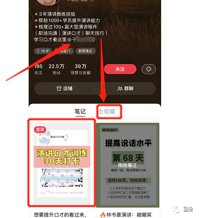 图片[11]-长期副业，操作简单，月入20000-爱赚项目网