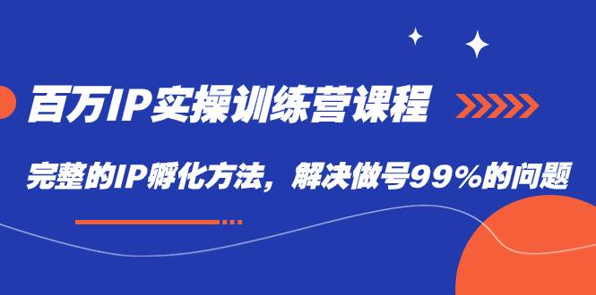 百万IP实战训练营课程，完整的IP孵化方法，解决做号99%的问题-爱赚项目网