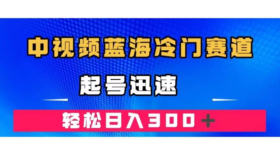 中视频蓝海冷门赛道，韩国视频奇闻解说，起号迅速，日入300＋-爱赚项目网