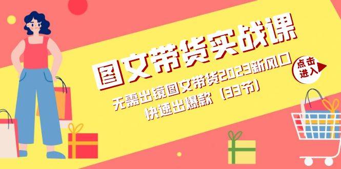 图文带货实战课：无需出镜图文带货2023新风口，快速出爆款（33节）-爱赚项目网