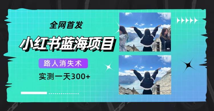 全网首发，小红书蓝海项目，路人消失术，实测一天300+（教程+工具）-爱赚项目网