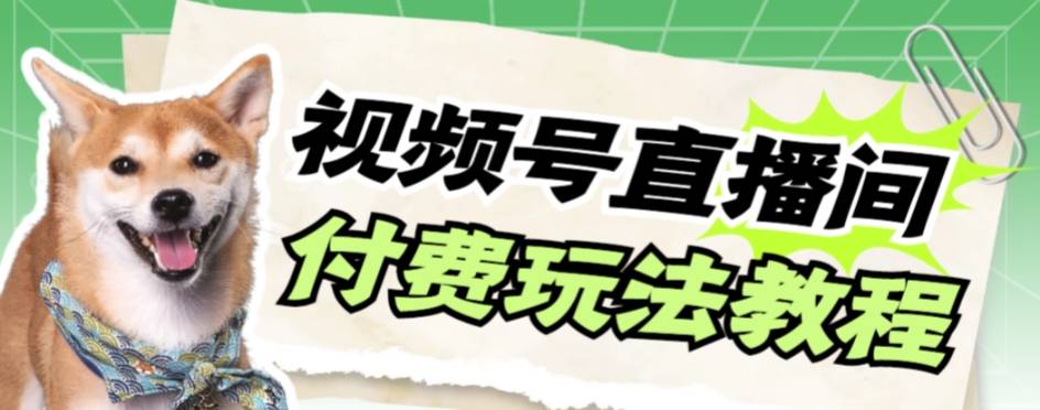 视频号美女付费无人直播，轻松日入500+【详细玩法教程】-爱赚项目网