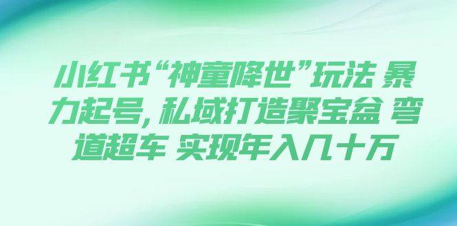 小红书“神童降世”玩法 暴力起号,私域打造聚宝盆 弯道超车 实现年入几十万-爱赚项目网