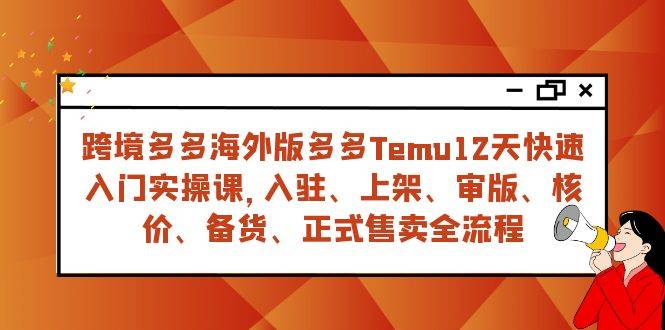 跨境多多海外版多多Temu12天快速入门实战课，从入驻 上架到正式售卖全流程-爱赚项目网