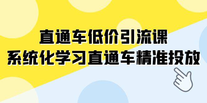 直通车-低价引流课，系统化学习直通车精准投放（14节课）-爱赚项目网