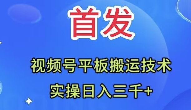 全网首发：视频号平板搬运技术，实操日入三千＋-爱赚项目网