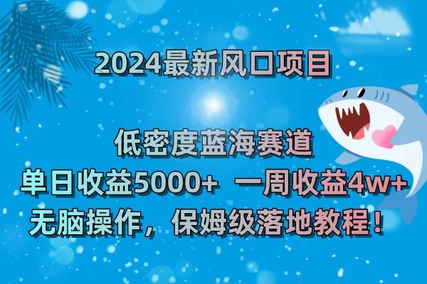 2024最新风口项目 低密度蓝海赛道，日收益5000+周收益4w+ 无脑操作，保…-爱赚项目网